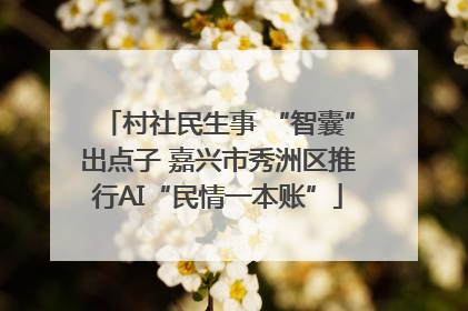 村社民生事 “智囊”出点子 嘉兴市秀洲区推行AI“民情一本账”