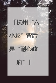 杭州“六小龙”背后是“耐心政府”