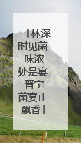 林深时见菌 味浓处是宴 晋宁菌宴正飘香