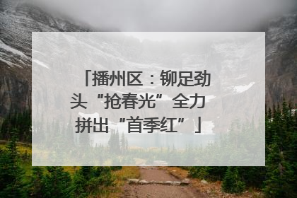 播州区：铆足劲头“抢春光”全力拼出“首季红”