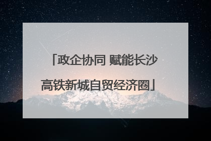 政企协同 赋能长沙高铁新城自贸经济圈