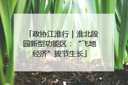 政协江淮行｜淮北段园新型功能区：“飞地经济”拔节生长