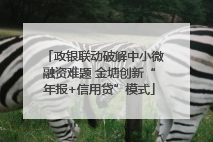 政银联动破解中小微融资难题 金塘创新“年报+信用贷”模式