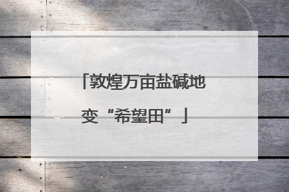 敦煌万亩盐碱地变“希望田”