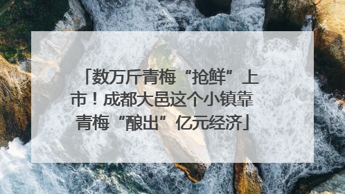 数万斤青梅“抢鲜”上市！成都大邑这个小镇靠青梅“酿出”亿元经济