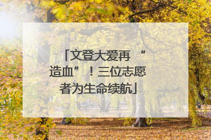 文登大爱再 “造血”！三位志愿者为生命续航