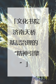 文化书院 济南天桥基层治理的“精神引擎”