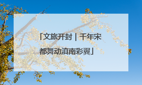 文旅开封｜千年宋都舞动滇南彩翼