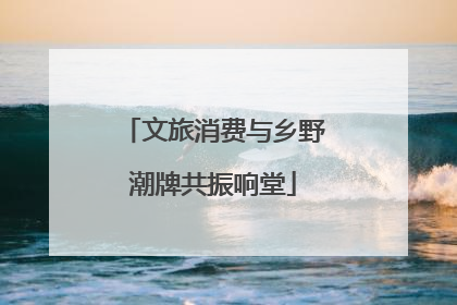 文旅消费与乡野潮牌共振响堂