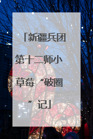 新疆兵团第十二师小草莓“破圈”记