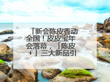 新会陈皮香动全国！皮皮宝年会落幕，「陈皮＋」三大新品引领产业升级