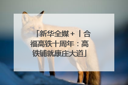 新华全媒＋丨合福高铁十周年：高铁铺就康庄大道