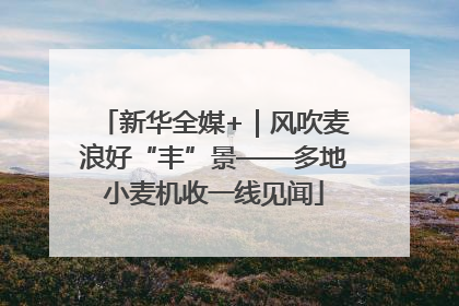 新华全媒+｜风吹麦浪好“丰”景——多地小麦机收一线见闻