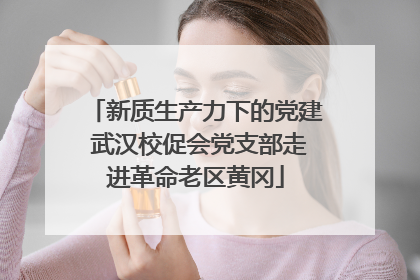 新质生产力下的党建 武汉校促会党支部走进革命老区黄冈