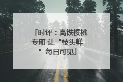时评：高铁樱桃专厢 让“枝头鲜”每日可见