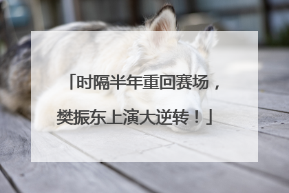 时隔半年重回赛场，樊振东上演大逆转！