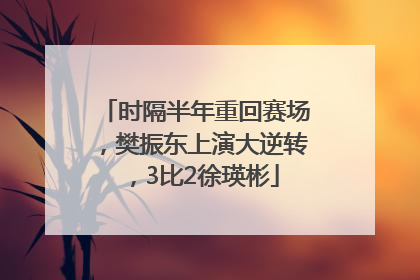 时隔半年重回赛场，樊振东上演大逆转，3比2徐瑛彬