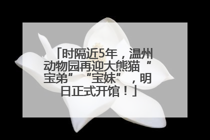 时隔近5年，温州动物园再迎大熊猫“宝弟”“宝妹”，明日正式开馆！