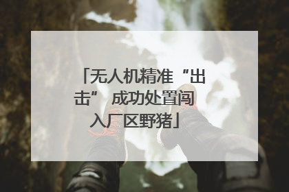 无人机精准“出击” 成功处置闯入厂区野猪