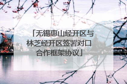 无锡惠山经开区与林芝经开区签署对口合作框架协议