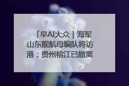 早AI大众｜海军山东舰航母编队将访港；贵州榕江已撤离转移群众超4万人