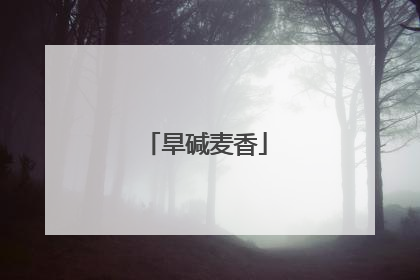 旱碱麦香