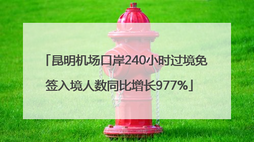 昆明机场口岸240小时过境免签入境人数同比增长977%