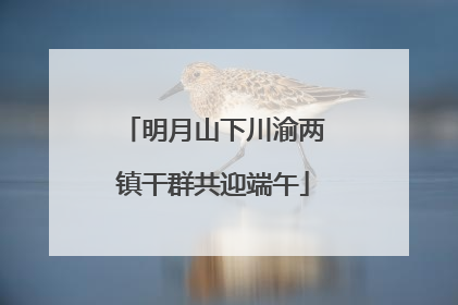 明月山下川渝两镇干群共迎端午