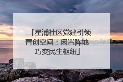 星浦社区党建引领青创空间：闲置阵地巧变民生枢纽
