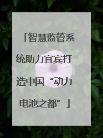 智慧监管系统助力宜宾打造中国“动力电池之都”