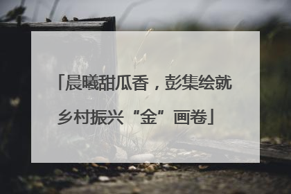 晨曦甜瓜香，彭集绘就乡村振兴“金”画卷