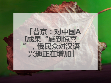 普京：对中国AI成果“感到惊喜”，俄民众对汉语兴趣正在增加