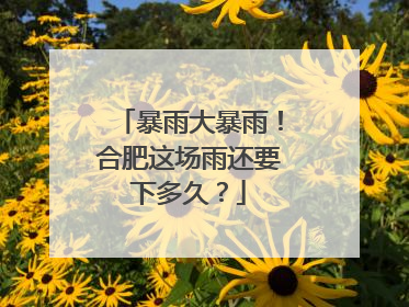 暴雨大暴雨！合肥这场雨还要下多久？