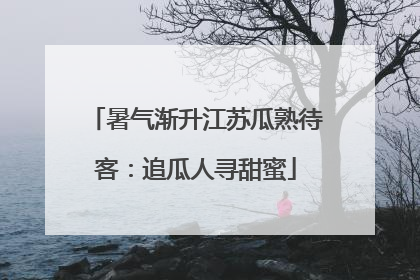 暑气渐升江苏瓜熟待客：追瓜人寻甜蜜