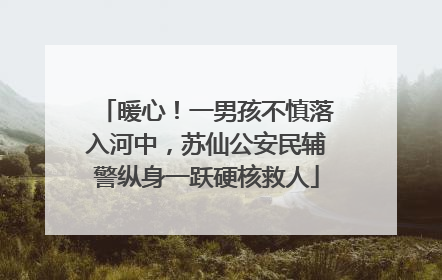 暖心！一男孩不慎落入河中，苏仙公安民辅警纵身一跃硬核救人