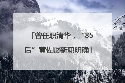 曾任职清华，“85后”黄佐财新职明确