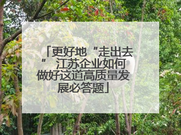 更好地“走出去” 江苏企业如何做好这道高质量发展必答题