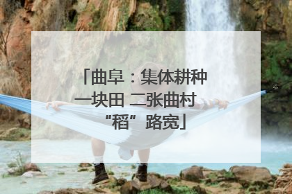 曲阜：集体耕种一块田 二张曲村“稻”路宽