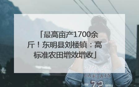 最高亩产1700余斤！东明县刘楼镇：高标准农田增效增收