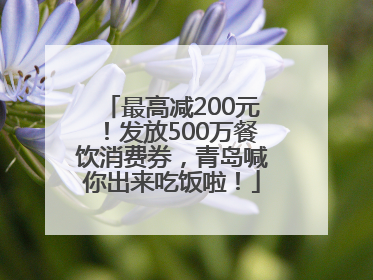 最高减200元！发放500万餐饮消费券，青岛喊你出来吃饭啦！