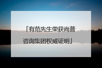 有范先生荣获尚普咨询集团权威证明