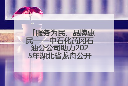 服务为民、品牌惠民——中石化黄冈石油分公司助力2025年湖北省龙舟公开赛（黄冈站）