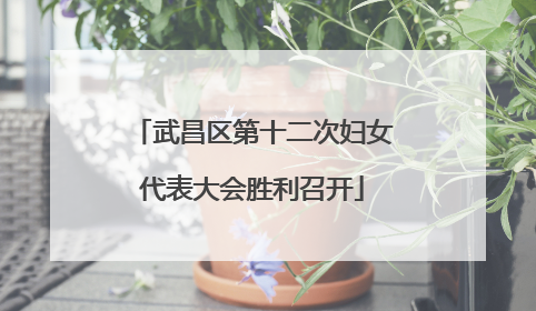 武昌区第十二次妇女代表大会胜利召开