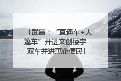 武昌：“直通车+大篷车”开进文创楼宇 双车并进惠企便民