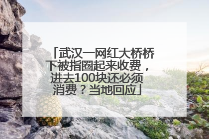 武汉一网红大桥桥下被指圈起来收费，进去100块还必须消费？当地回应