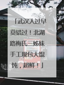 武汉人过早莫错过！北湖路梅氏三姊妹手工现包大馄饨，超鲜！