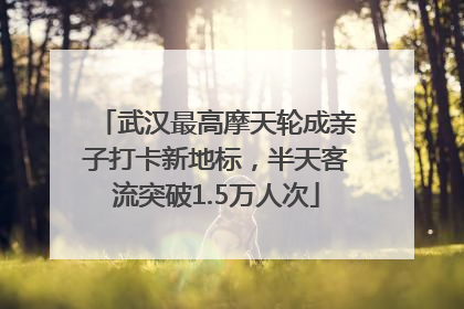 武汉最高摩天轮成亲子打卡新地标，半天客流突破1.5万人次