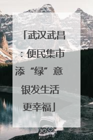 武汉武昌：便民集市添“绿”意 银发生活更幸福