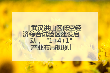 武汉洪山区低空经济综合试验区建设启动，“1+4+1”产业布局初现