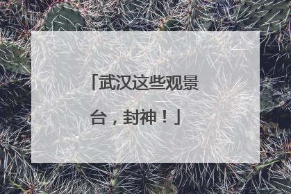 武汉这些观景台，封神！